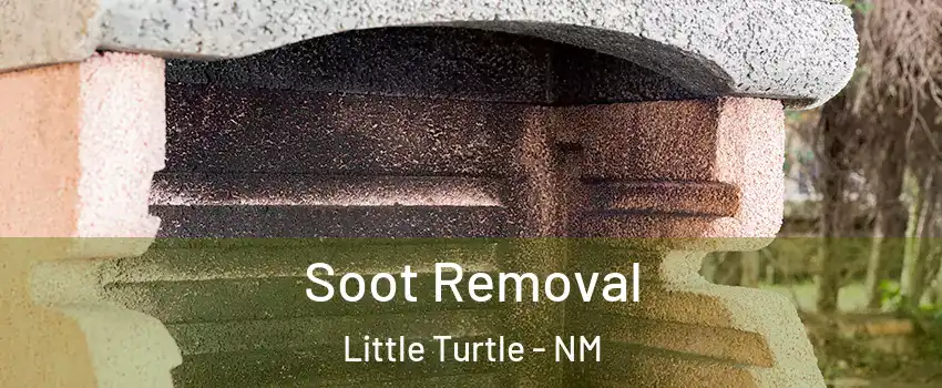 Soot Removal Little Turtle - NM