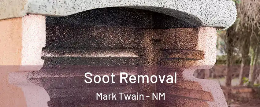 Soot Removal Mark Twain - NM