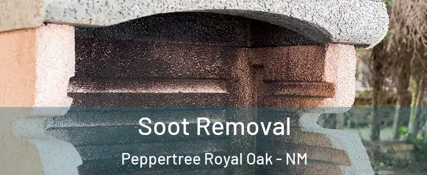 Soot Removal Peppertree Royal Oak - NM