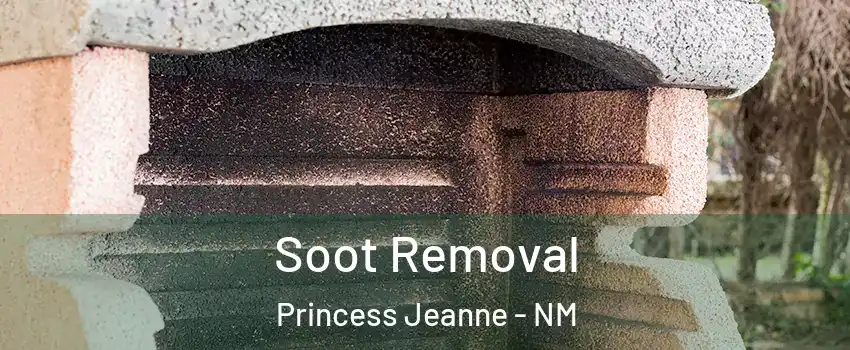 Soot Removal Princess Jeanne - NM