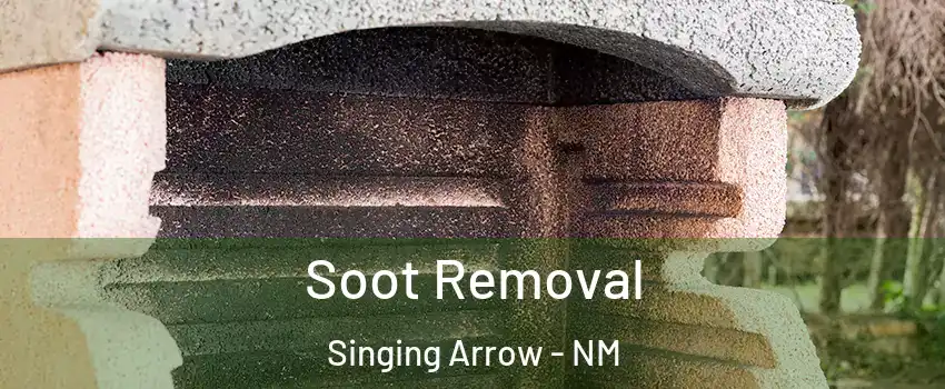 Soot Removal Singing Arrow - NM