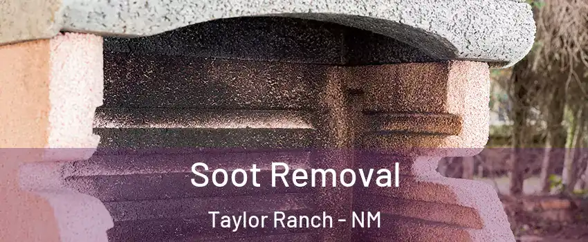 Soot Removal Taylor Ranch - NM