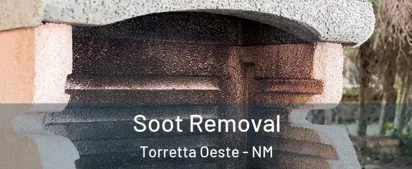 Soot Removal Torretta Oeste - NM