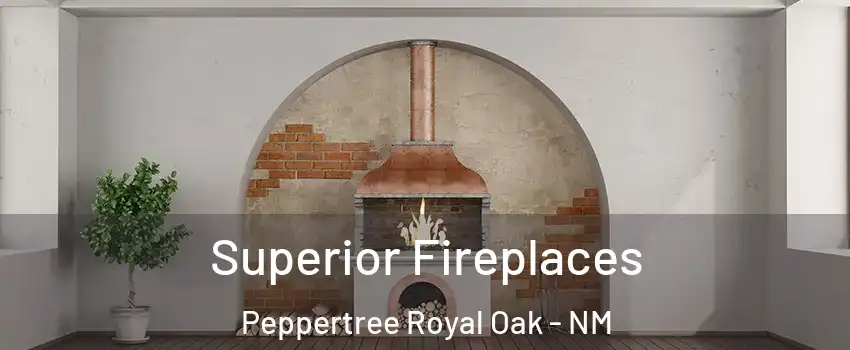 Superior Fireplaces Peppertree Royal Oak - NM