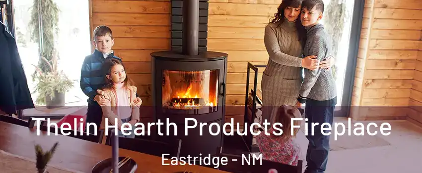 Thelin Hearth Products Fireplace Eastridge - NM