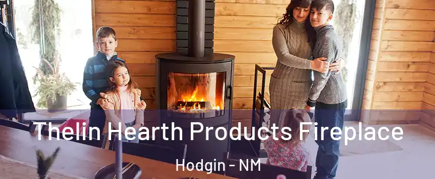 Thelin Hearth Products Fireplace Hodgin - NM