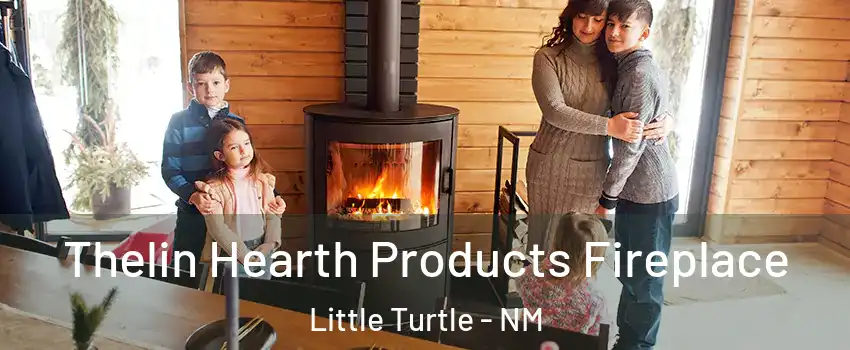 Thelin Hearth Products Fireplace Little Turtle - NM