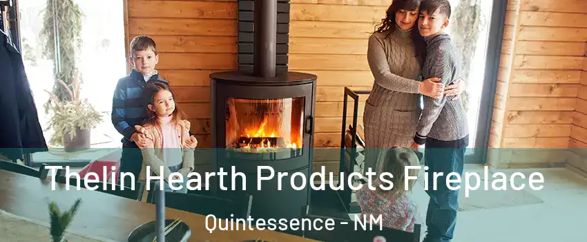 Thelin Hearth Products Fireplace Quintessence - NM