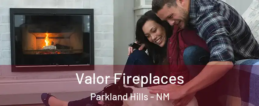 Valor Fireplaces Parkland Hills - NM