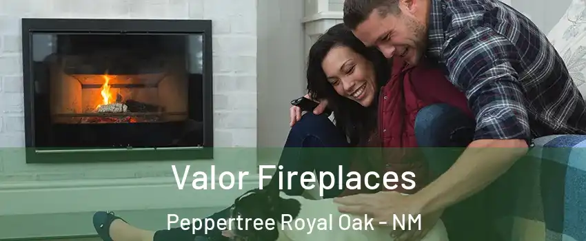 Valor Fireplaces Peppertree Royal Oak - NM