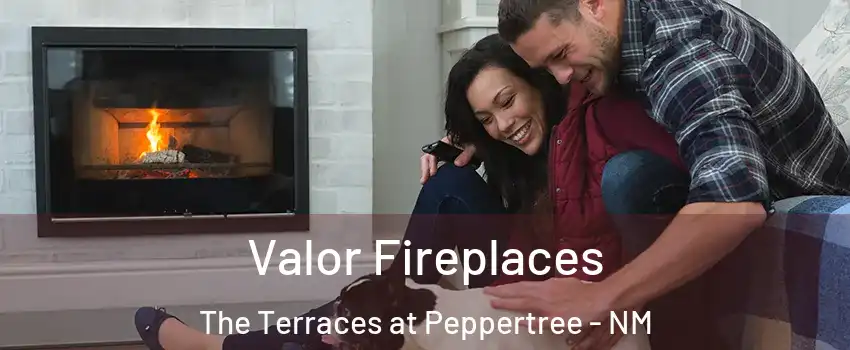 Valor Fireplaces The Terraces at Peppertree - NM