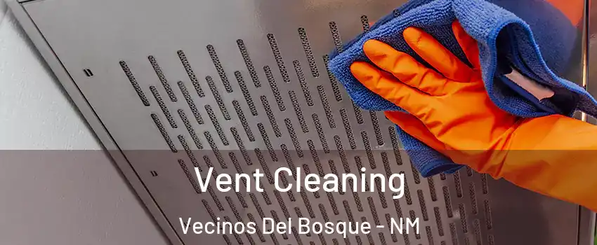 Vent Cleaning Vecinos Del Bosque - NM