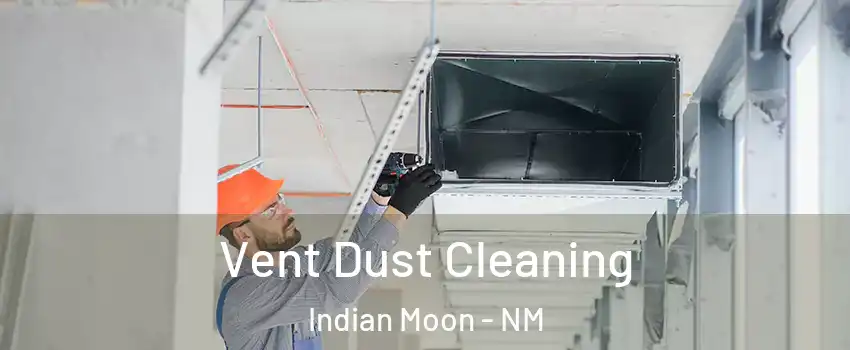 Vent Dust Cleaning Indian Moon - NM