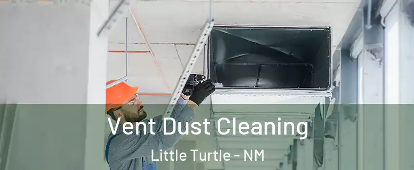 Vent Dust Cleaning Little Turtle - NM