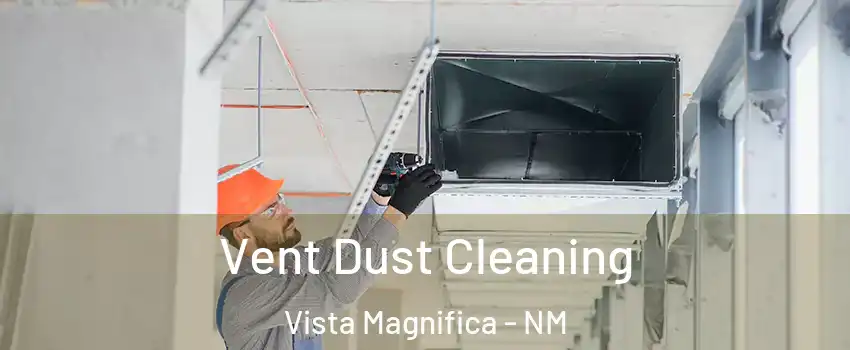 Vent Dust Cleaning Vista Magnifica - NM