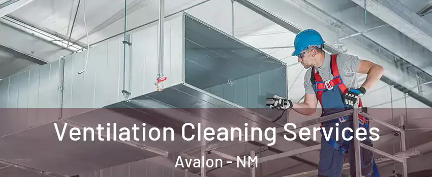 Ventilation Cleaning Services Avalon - NM