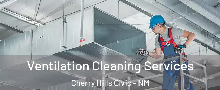 Ventilation Cleaning Services Cherry Hills Civic - NM