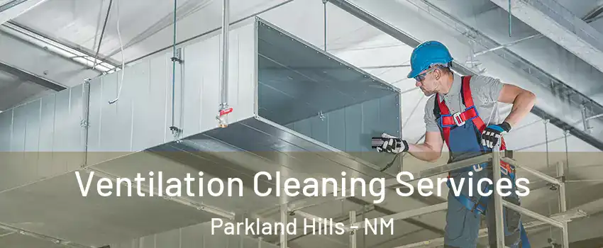 Ventilation Cleaning Services Parkland Hills - NM