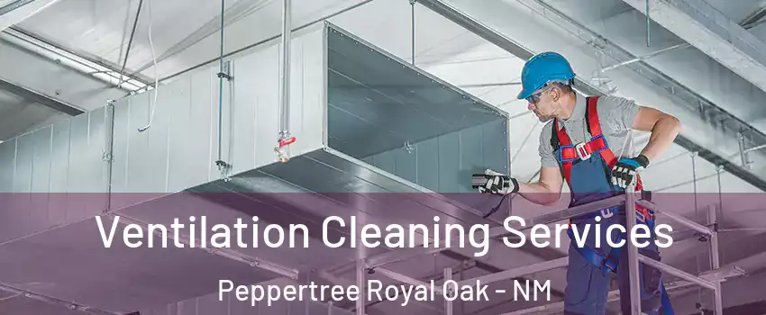 Ventilation Cleaning Services Peppertree Royal Oak - NM