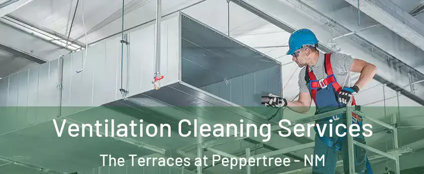 Ventilation Cleaning Services The Terraces at Peppertree - NM