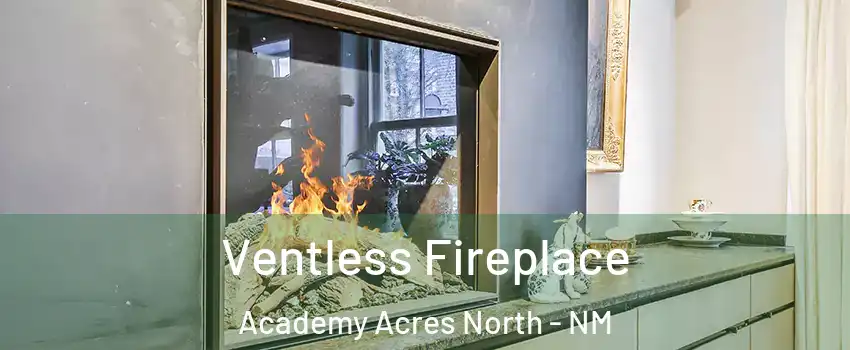 Ventless Fireplace Academy Acres North - NM