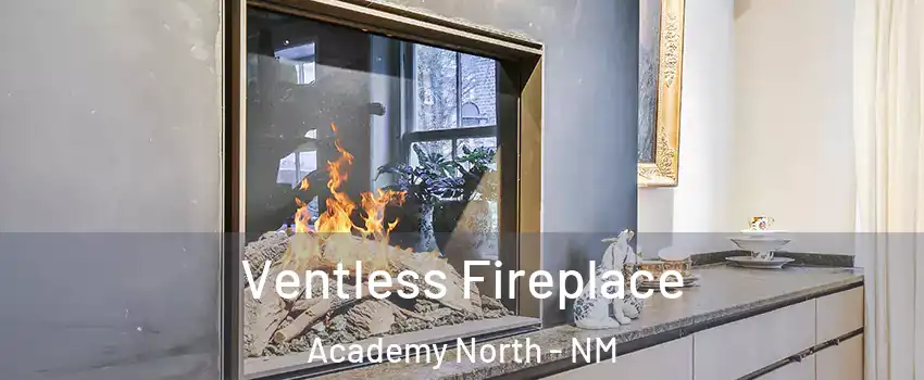 Ventless Fireplace Academy North - NM