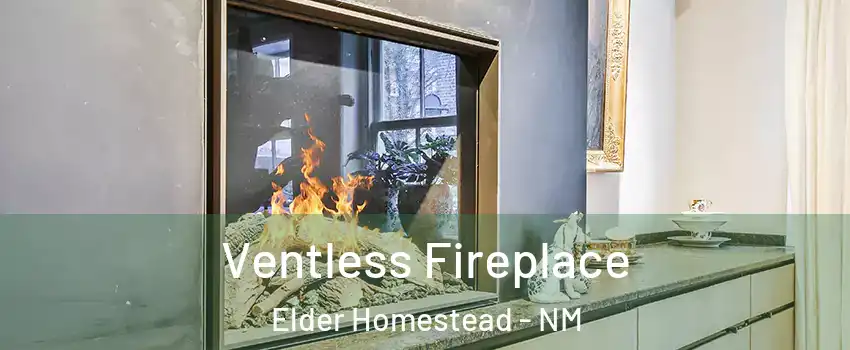Ventless Fireplace Elder Homestead - NM