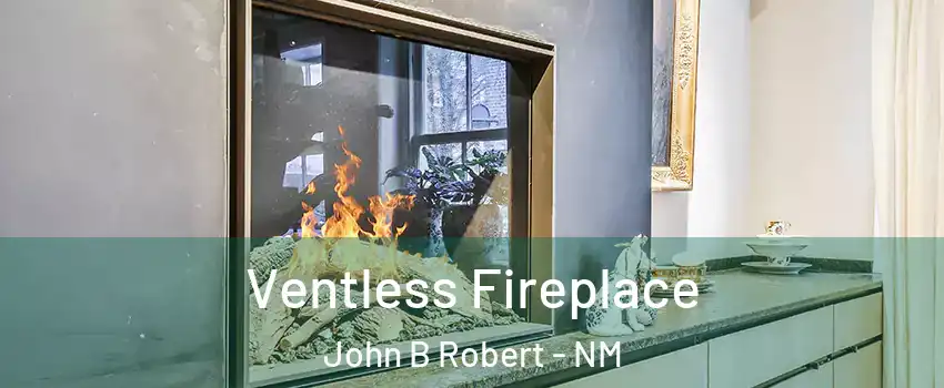 Ventless Fireplace John B Robert - NM