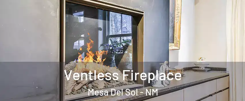 Ventless Fireplace Mesa Del Sol - NM