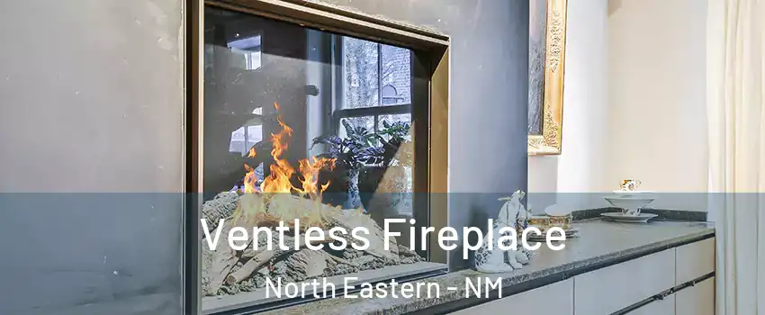 Ventless Fireplace North Eastern - NM