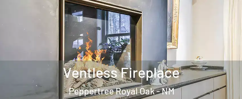 Ventless Fireplace Peppertree Royal Oak - NM