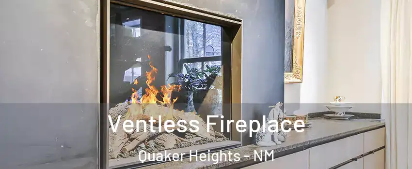 Ventless Fireplace Quaker Heights - NM