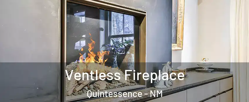 Ventless Fireplace Quintessence - NM