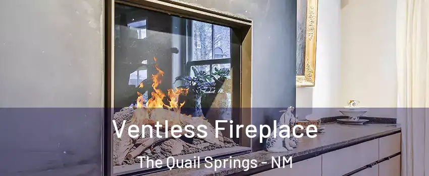 Ventless Fireplace The Quail Springs - NM