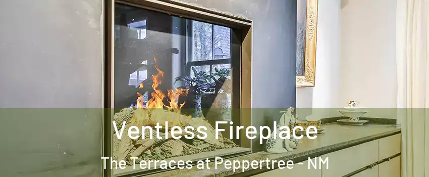 Ventless Fireplace The Terraces at Peppertree - NM