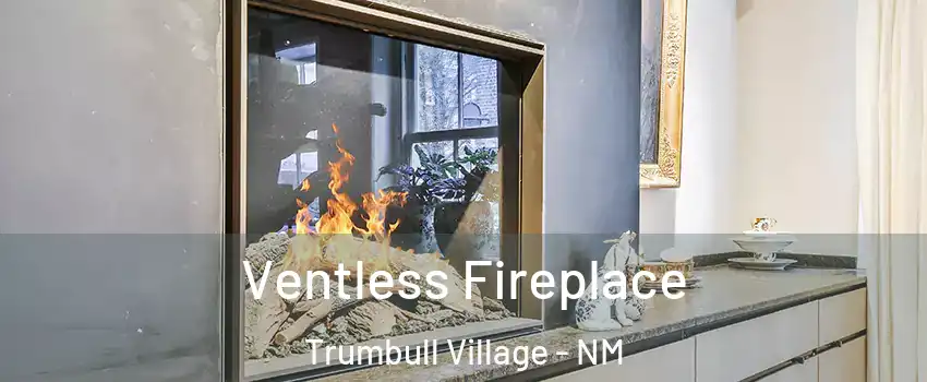 Ventless Fireplace Trumbull Village - NM