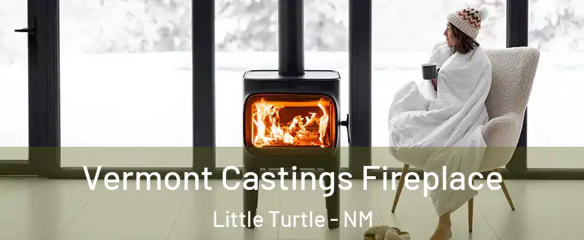 Vermont Castings Fireplace Little Turtle - NM
