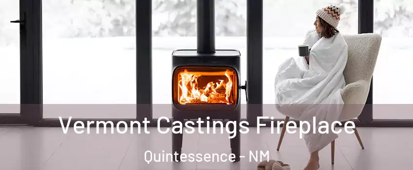 Vermont Castings Fireplace Quintessence - NM