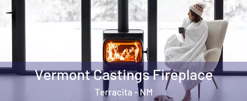 Vermont Castings Fireplace Terracita - NM