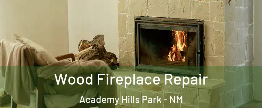 Wood Fireplace Repair Academy Hills Park - NM