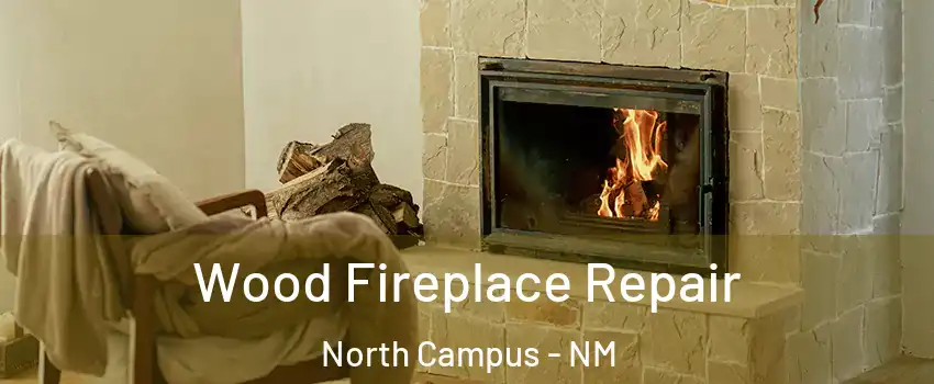Wood Fireplace Repair North Campus - NM