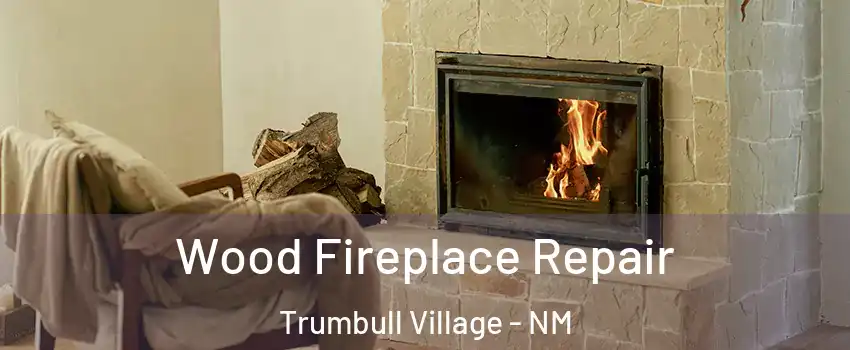 Wood Fireplace Repair Trumbull Village - NM