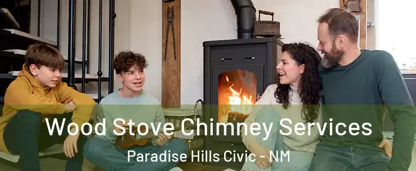 Wood Stove Chimney Services Paradise Hills Civic - NM