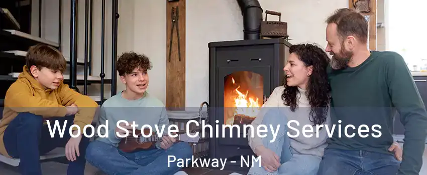 Wood Stove Chimney Services Parkway - NM