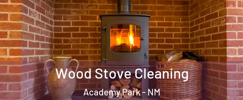Wood Stove Cleaning Academy Park - NM