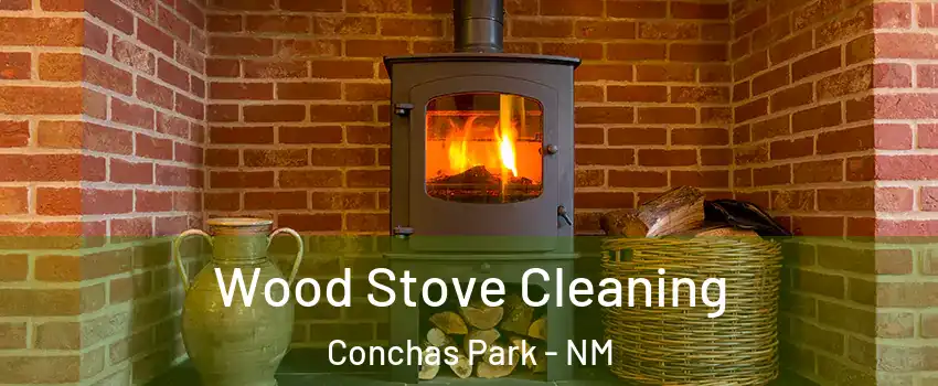 Wood Stove Cleaning Conchas Park - NM