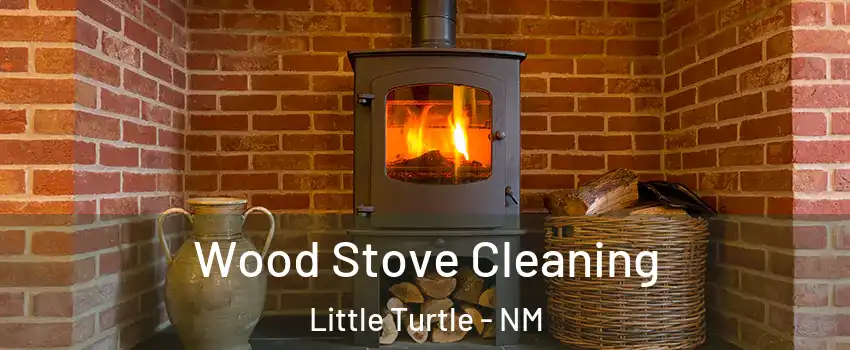 Wood Stove Cleaning Little Turtle - NM