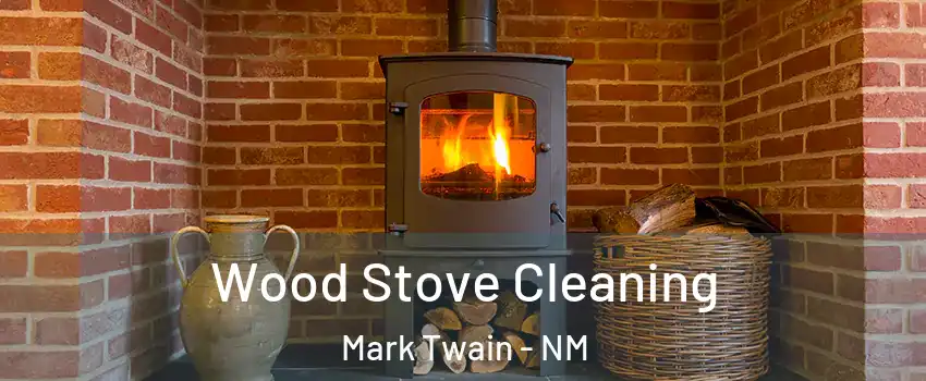 Wood Stove Cleaning Mark Twain - NM
