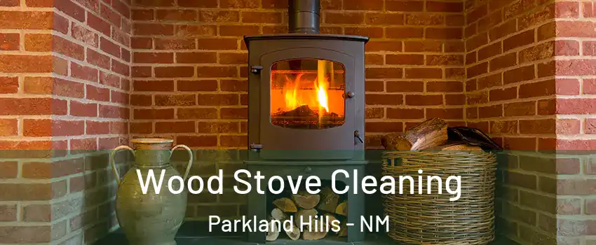 Wood Stove Cleaning Parkland Hills - NM
