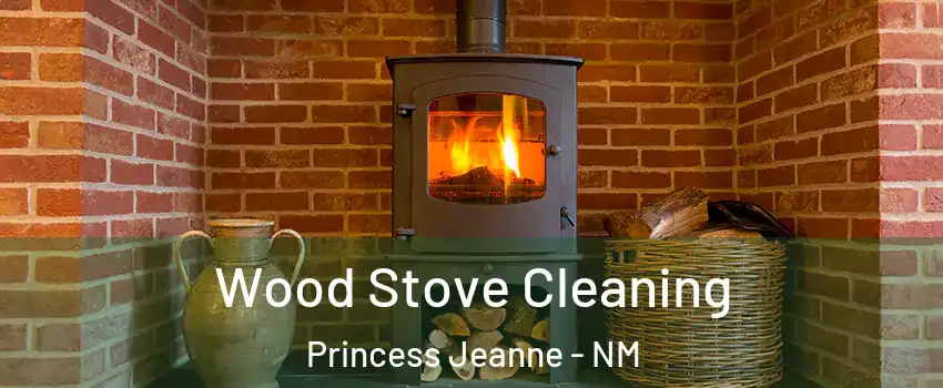 Wood Stove Cleaning Princess Jeanne - NM